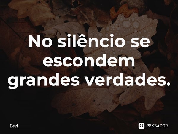 No silêncio se escondem grandes verdades.⁠... Frase de levi.