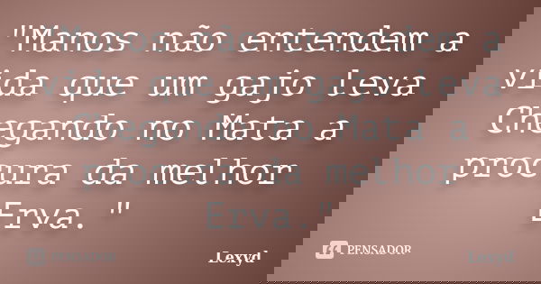 "Manos não entendem a vida que um gajo leva Chegando no Mata a procura da melhor Erva."... Frase de Lexyd.