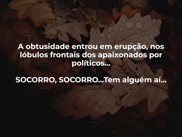 A obtusidade entrou em erupção, nos lóbulos frontais dos apaixonados por políticos... SOCORRO, SOCORRO...Tem alguém aí...... Frase de LFSuporte.