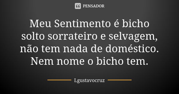 Meu Sentimento é bicho solto sorrateiro e selvagem, não tem nada de doméstico. Nem nome o bicho tem.... Frase de Lgustavocruz.