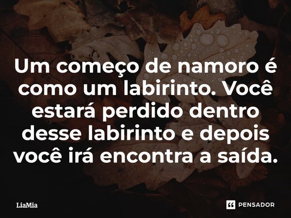 ⁠Um começo de namoro é como um labirinto. Você estará perdido dentro desse labirinto e depois você irá encontra a saída.... Frase de LiaMia.