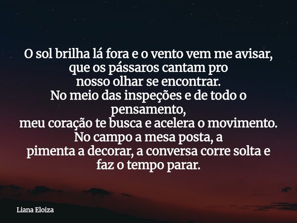 O sol brilha lá fora e o vento vemme avisar, que os pássaros cantam pro nosso olhar se encontrar. No meio das inspeções e de todoo pensamento, meu coração te bu... Frase de Liana Eloiza.