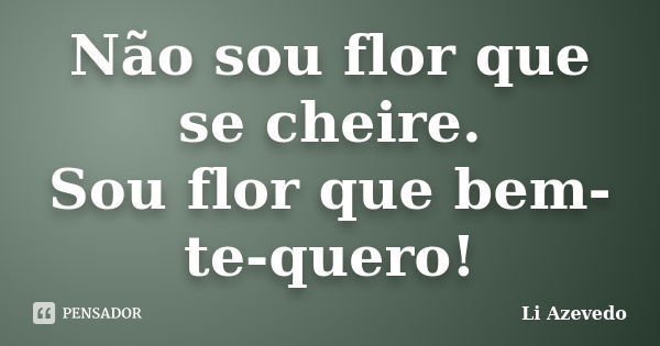 Não sou flor que se cheire. Sou flor que bem-te-quero!... Frase de Li Azevedo.