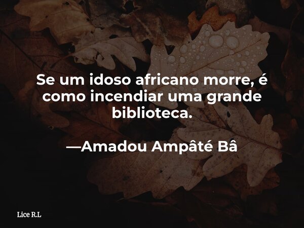Se um idoso africano morre, é como incendiar uma grande biblioteca. —Amadou Ampâté Bâ... Frase de Lice R.L.