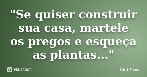 "Se quiser construir sua casa, martele os pregos e esqueça as plantas..."... Frase de Lici Cruz.