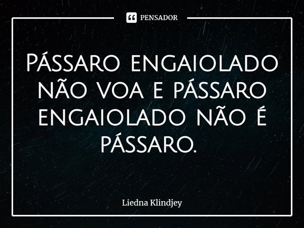 Pássaro engaiolado não voa e pássaro engaiolado não é pássaro. ⁠... Frase de Liedna Klindjey.