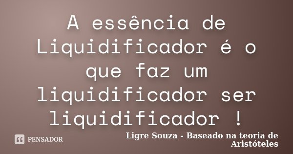 A essência de Liquidificador é o que faz um liquidificador ser liquidificador !... Frase de Ligre Souza - Baseado na teoria de Aristóteles.
