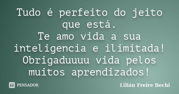 Tudo é perfeito do jeito que está. Te amo vida a sua inteligencia e ilimitada! Obrigaduuuu vida pelos muitos aprendizados!... Frase de Lilian Freire Bechi.