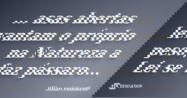 ... asas abertas levantam o próprio peso, na Natureza a Lei se faz pássaro...... Frase de Lilian Reinhardt.