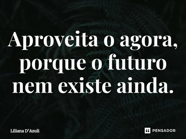 ⁠Aproveita o agora, porque o futuro nem existe ainda.... Frase de Liliana D'Azuli.