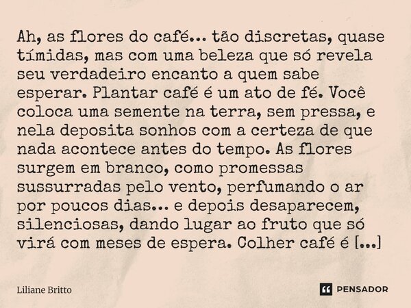 ⁠Ah, as flores do café… tão discretas, quase tímidas, mas com uma beleza que só revela seu verdadeiro encanto a quem sabe esperar. Plantar café é um ato de fé. ... Frase de Liliane Britto.