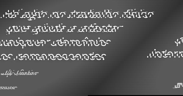 Há algo no trabalho físico que ajuda a afastar quaisquer demônios internos remanescentes.... Frase de Lily Graham.
