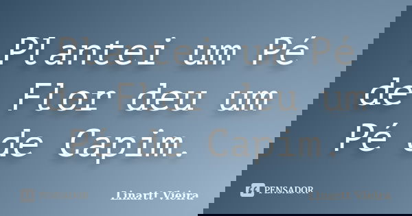 Plantei um Pé de Flor deu um Pé de Capim.... Frase de Linartt Vieira.