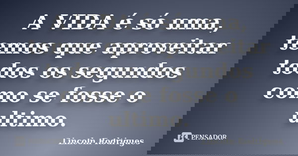 A VIDA é só uma, temos que aproveitar todos os segundos como se fosse o ultimo.... Frase de Lincoln Rodrigues.