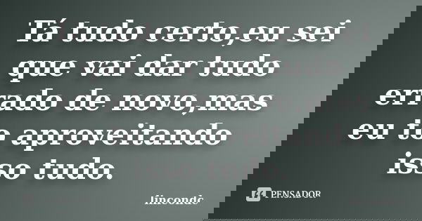 Tá tudo certo,eu sei que vai dar tudo errado de novo,mas eu to aproveitando isso tudo.... Frase de lincondc.