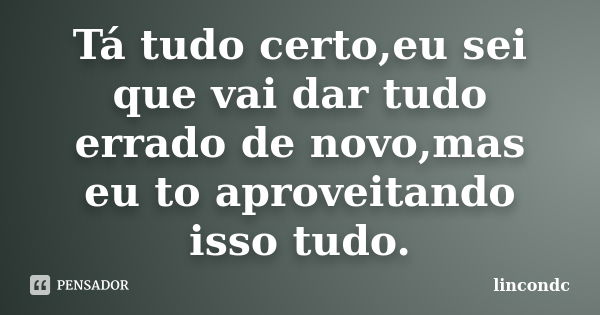 Tá tudo certo,eu sei que vai dar tudo errado de novo,mas eu to aproveitando isso tudo.... Frase de lincondc.