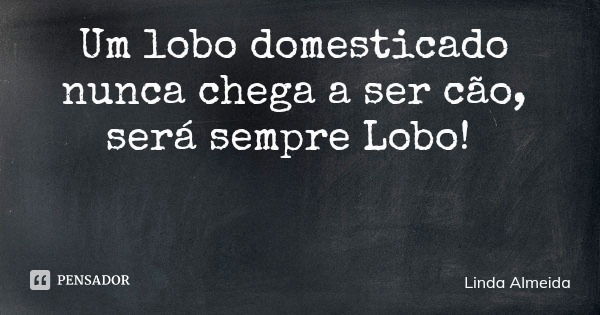 Um lobo domesticado nunca chega a ser cão, será sempre Lobo!... Frase de Linda Almeida.