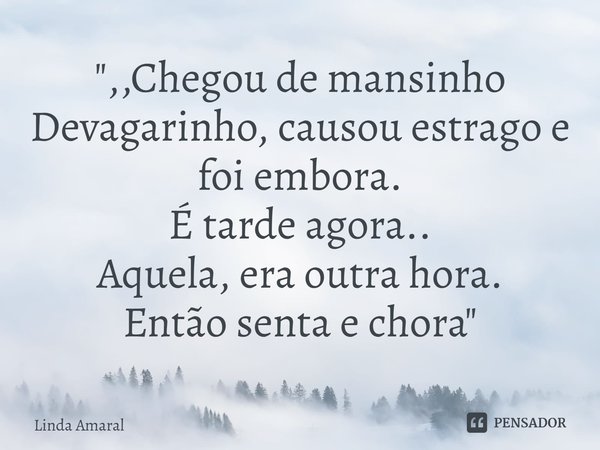 ⁠",,Chegou de mansinho
Devagarinho, causou estrago e foi embora.
É tarde agora..
Aquela, era outra hora.
Então senta e chora"... Frase de Linda Amaral.