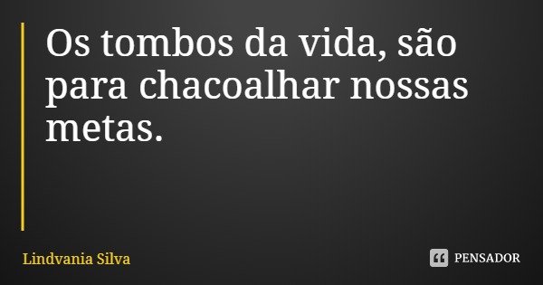 Os tombos da vida, são para chacoalhar nossas metas.... Frase de Lindvania Silva.