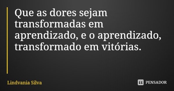 Que as dores sejam transformadas em aprendizado, e o aprendizado, transformado em vitórias.... Frase de Lindvania Silva.