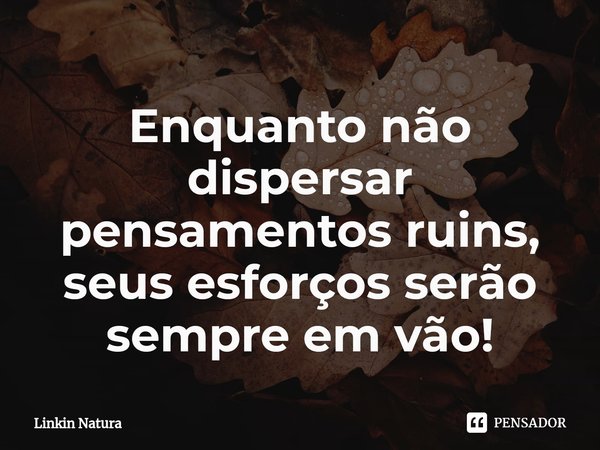 ⁠Enquanto não dispersar pensamentos ruins, seus esforços serão sempre em vão!... Frase de Linkin Natura.