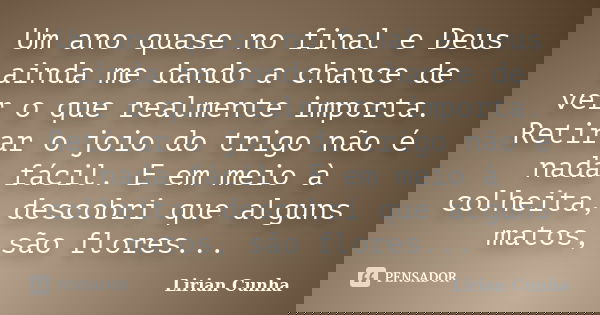 Um ano quase no final e Deus ainda me dando a chance de ver o que realmente importa. Retirar o joio do trigo não é nada fácil. E em meio à colheita, descobri qu... Frase de Lirian Cunha.