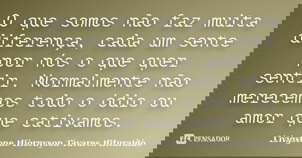 O que somos não faz muita diferença, cada um sente por nós o que quer sentir. Normalmente não merecemos todo o ódio ou amor que cativamos.... Frase de Livigstone Hiornyson Tavares Bituraldo.