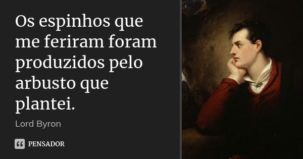 Os espinhos que me feriram foram produzidos pelo arbusto que plantei.... Frase de Lord Byron.