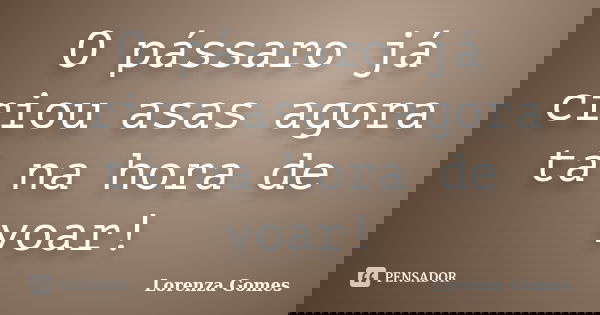 O pássaro já criou asas agora tá na hora de voar!... Frase de Lorenza Gomes.