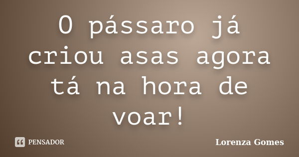 O pássaro já criou asas agora tá na hora de voar!... Frase de Lorenza Gomes.