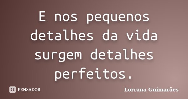 E nos pequenos detalhes da vida surgem detalhes perfeitos.... Frase de Lorrana Guimarães.