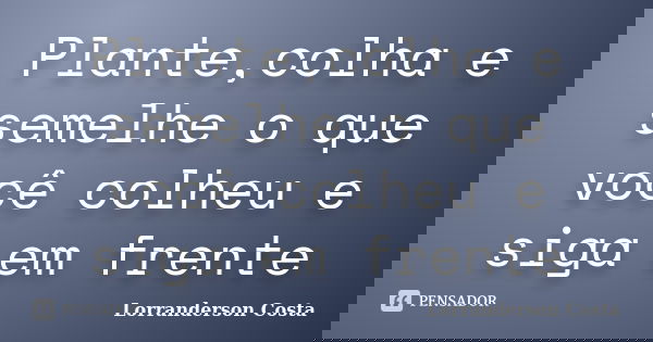 Plante,colha e semelhe o que você colheu e siga em frente... Frase de Lorranderson Costa.