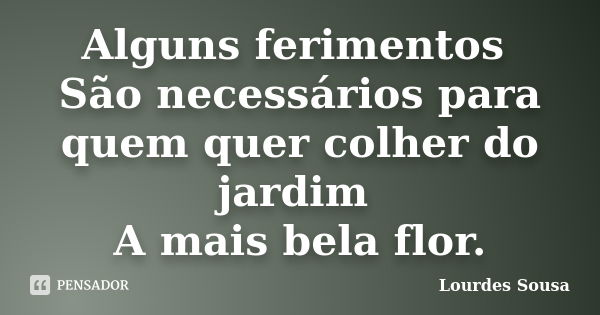 Alguns ferimentos São necessários para quem quer colher do jardim A mais bela flor.... Frase de Lourdes Sousa.