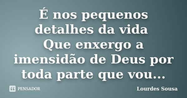 É nos pequenos detalhes da vida Que enxergo a imensidão de Deus por toda parte que vou...... Frase de Lourdes Sousa.