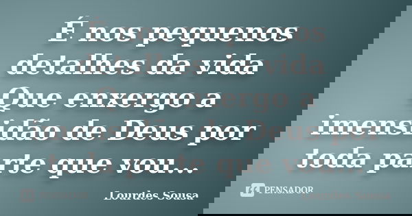 É nos pequenos detalhes da vida Que enxergo a imensidão de Deus por toda parte que vou...... Frase de Lourdes Sousa.
