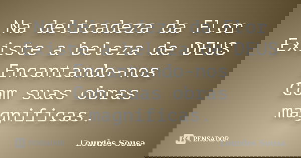 Na delicadeza da Flor Existe a beleza de DEUS Encantando-nos Com suas obras magnificas.... Frase de Lourdes Sousa.