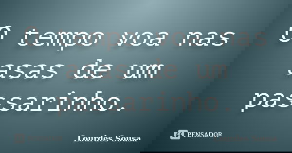 O tempo voa nas asas de um passarinho.... Frase de Lourdes Sousa.