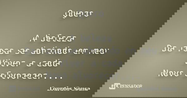 Quero A beleza Da rosa se abrindo em meu Viver a cada Novo alvorecer....... Frase de Lourdes Sousa.