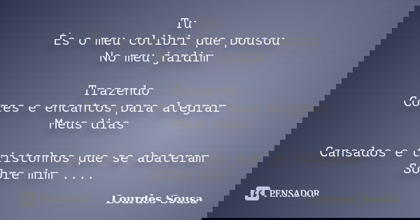 Tu És o meu colibri que pousou No meu jardim Trazendo Cores e encantos para alegrar Meus dias Cansados e tristonhos que se abateram Sobre mim ....... Frase de Lourdes Sousa.