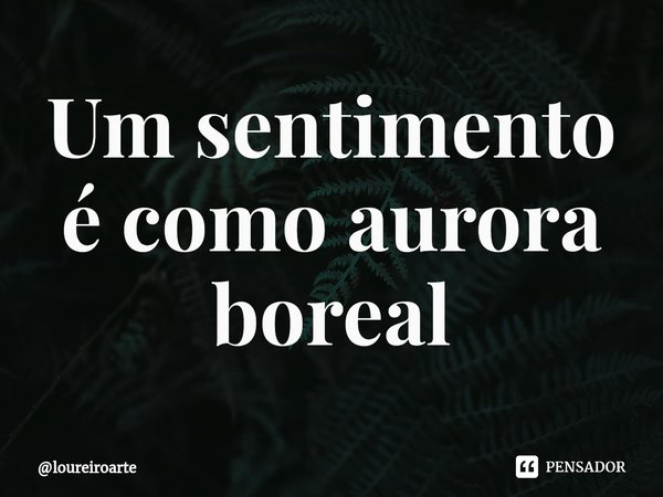 ⁠Um sentimento é como aurora boreal... Frase de loureiroarte.