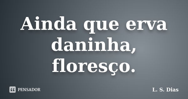 Ainda que erva daninha, floresço.... Frase de L. S. Dias.