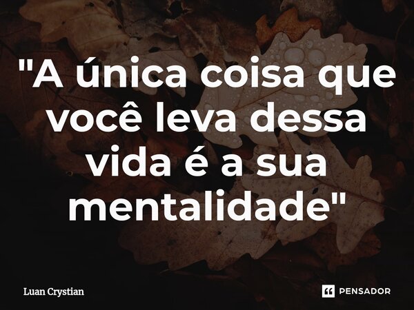 ⁠"A única coisa que você leva dessa vida é a sua mentalidade"... Frase de Luan Crystian.