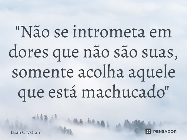 ⁠"Não se intrometa em dores que não são suas, somente acolha aquele que está machucado"... Frase de Luan Crystian.