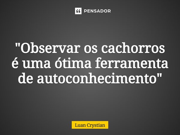 ⁠"Observar os cachorros é uma ótima ferramenta de autoconhecimento"... Frase de Luan Crystian.
