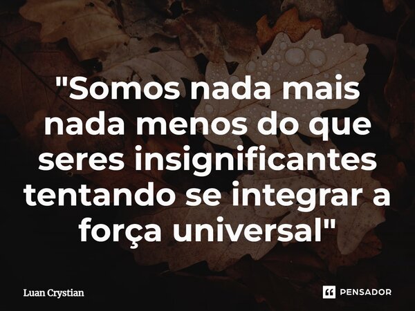 ⁠"Somos nada mais nada menos do que seres insignificantes tentando se integrar a força universal"... Frase de Luan Crystian.