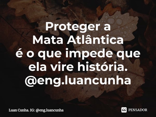 ⁠Proteger a
Mata Atlântica
é o que impede que
ela vire história.
@eng.luancunha... Frase de Luan Cunha. IG: eng.luancunha.