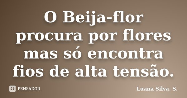 O Beija-flor procura por flores mas só encontra fios de alta tensão.... Frase de Luana Silva. S..