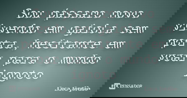 Sou pássaro novo vivendo em gaiola sem porta, hesitante em voar para o mundo ignoto... Frase de Luca Jordão.
