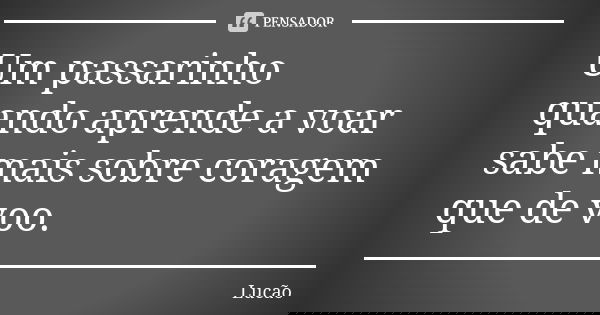 Um passarinho quando aprende a voar sabe mais sobre coragem que de voo.... Frase de Lucão.
