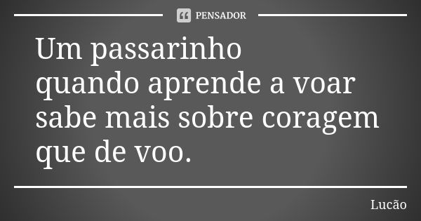 Um passarinho quando aprende a voar sabe mais sobre coragem que de voo.... Frase de Lucão.